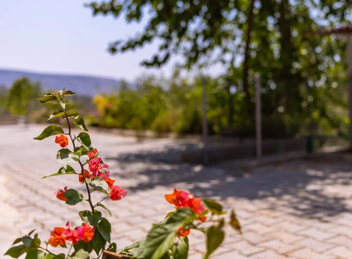 Agach Aparts-Savran Milas Villa